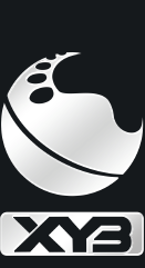 岳陽新一步科技有限公司